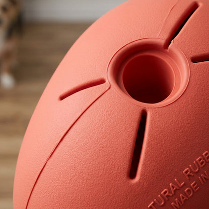 Aerovy Pebbletreat Natural Rubber Treat Pod Dog Toy 4.2 in Coral - Detail view